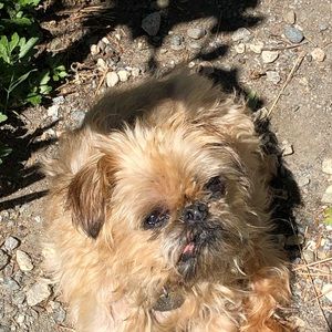 Meet your Posher, Diane